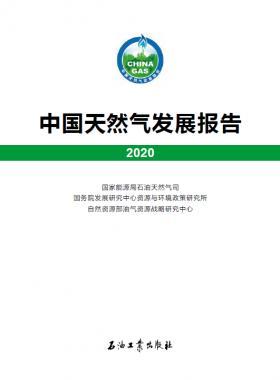 2020中國天然氣發(fā)展報(bào)告（含2017、2018、2019、2020）